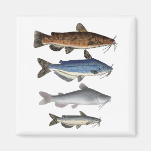 Imã Grupo de pesca da América do Norte