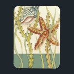 Ímã Grupo de Shell Multicolores<br><div class="desc">Charikilia Zarris é uma artista talentosa conhecida por sua trabalho de arte oceânica. As imagens dela são pacíficas e calmas, relaxando-vos com cada fotografia. Pegue esta trabalho de arte náutica com uma estrela-do-mar e uma concha sendo o centro de tudo, junto com uma bela alga. Esta imagem ficará excelente em...</div>