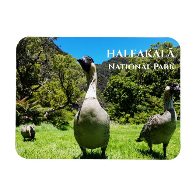 Ímã Grupo Nēnore, Haleakalā National Park, Maui, HI (Horizontal)