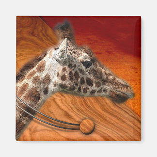 IMÃ G'S GIRAFFE