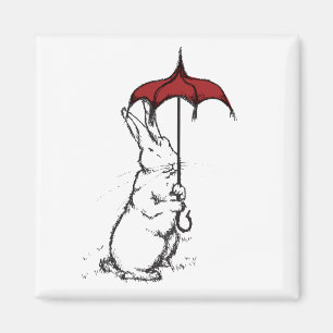 IMÃ GUARDA-CHUVA