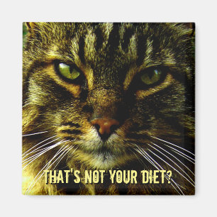 Imã Guarda engraçada da dieta do gato