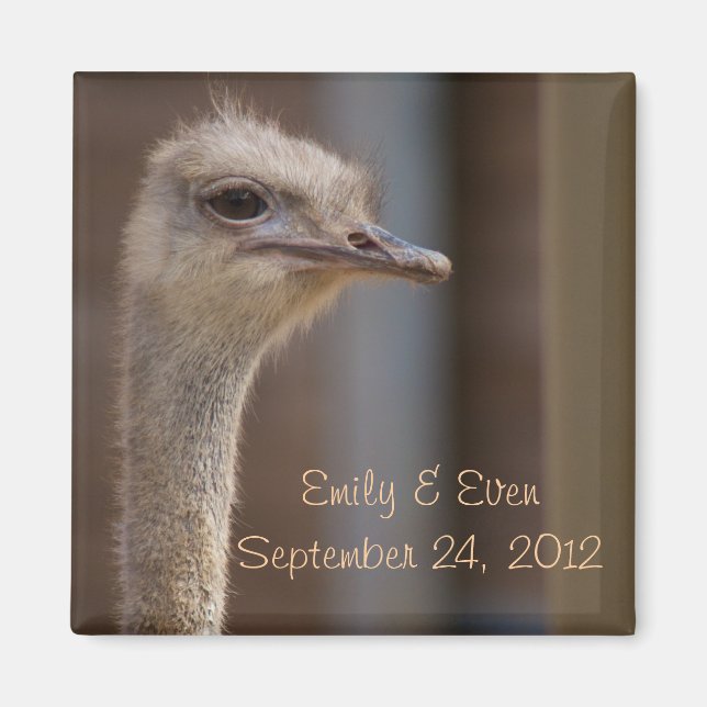 Imã Guardar o Magnet de Fotografias de Ostrich com Dat (Frente)