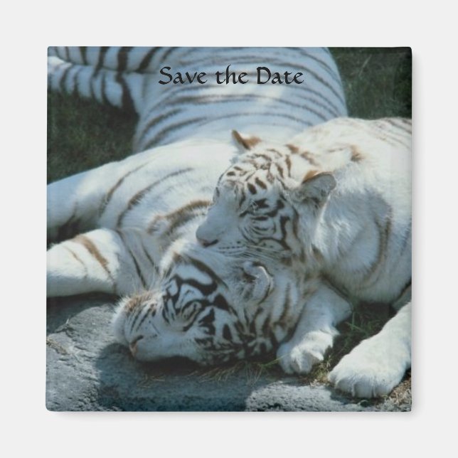 Imã Guardar os Manuais Brancos de Data (Frente)