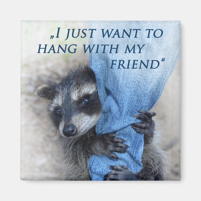 Imã Guaxinim - Relaxando (Frente)