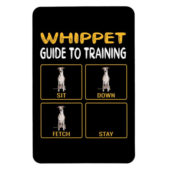 Ímã guia de chicote para treinar obediência a cães (Vertical)