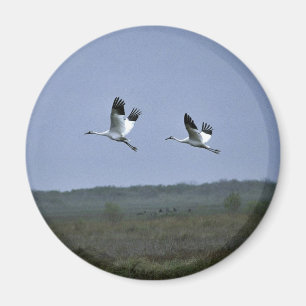 Imã Guindastes gritando em animais selvagens nacionais