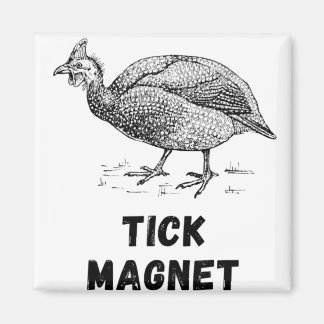 Imã Guiné Hen FowFarm Animais de Aves de Capoeira