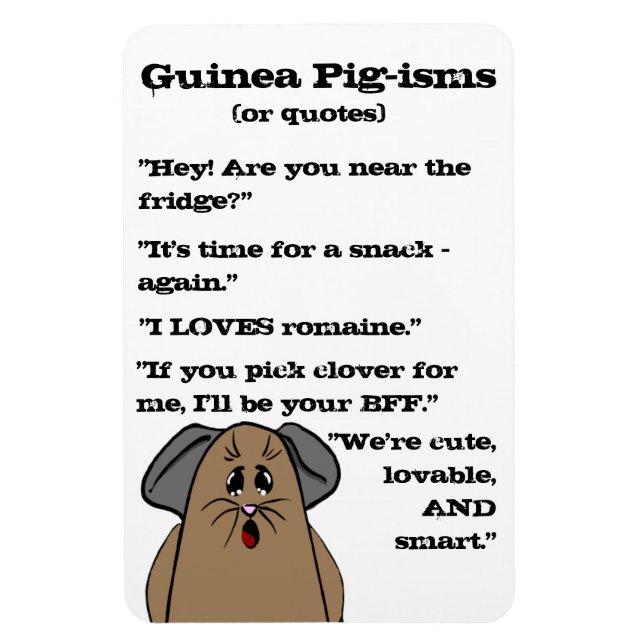 Ímã Guiné Pig Sayings (Vertical)
