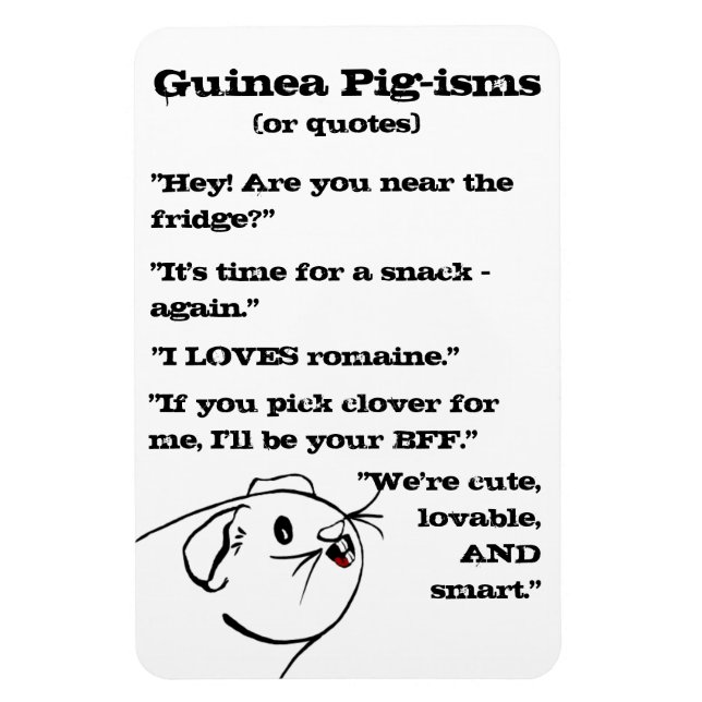 Ímã Guiné Pig Sayings (Vertical)