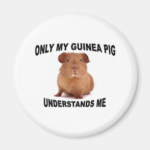 Imã GUINEA.jpg