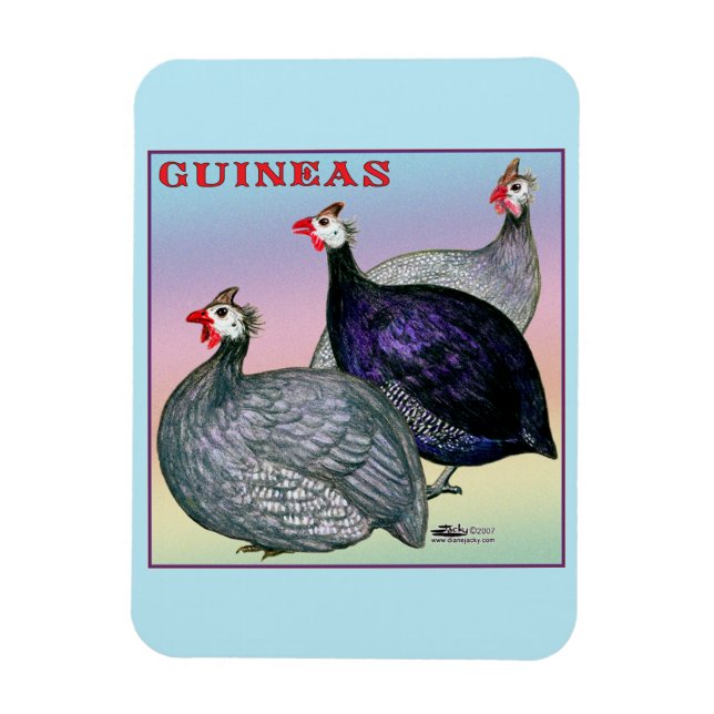 Ímã Guineas Three Fowl (Vertical)