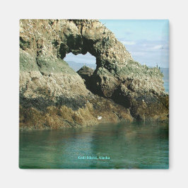 Imã Gull Island, Alaska