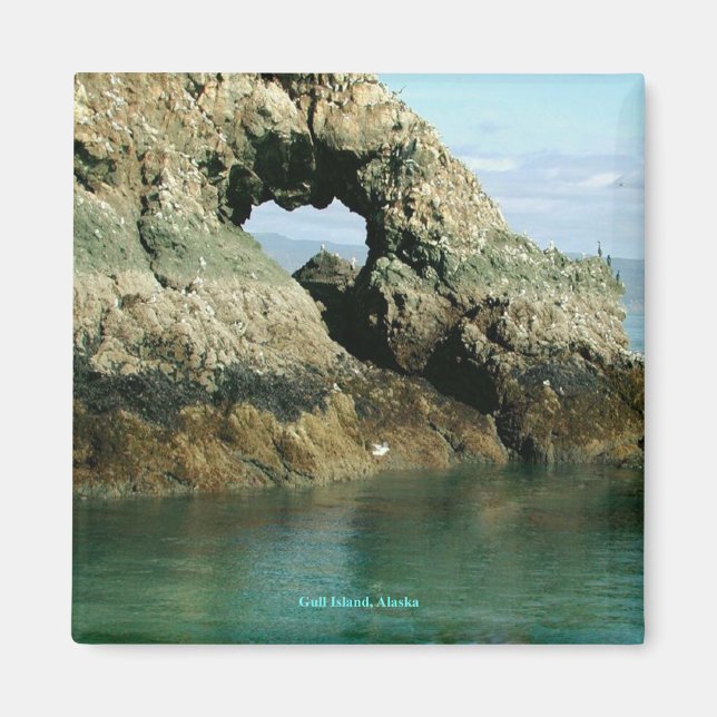 Imã Gull Island, Alaska (Frente)
