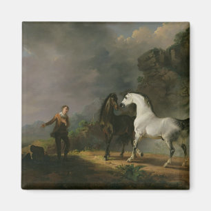 Imã Gulliver que endereça o Houyhnhnms, 1769 (óleo e