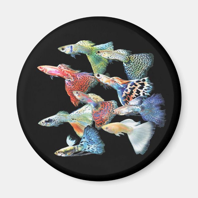 Imã Guppies (Frente)