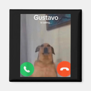 Imã Gustavo O Cão Está Chamando Meme Engraçado Gen Z A