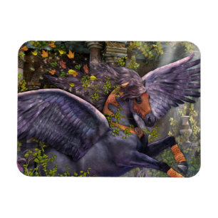 Ímã Gwarchodwyr Flexi Magnet