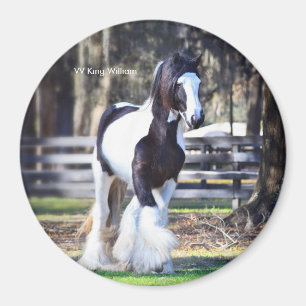 Imã Gypsy Dourado King William Magnet