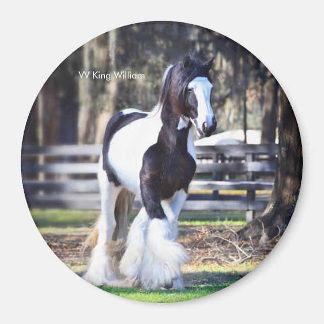 Imã Gypsy Dourado King William Magnet (Frente)