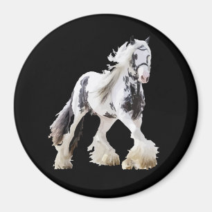 Imã Gypsy Mare Stallion Draft Horse