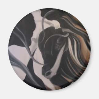 Imã Gypsy Vanner I