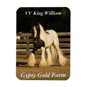 Ímã Gypsy Vanner Magnet