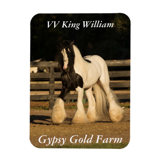 Ímã Gypsy Vanner Magnet (Vertical)