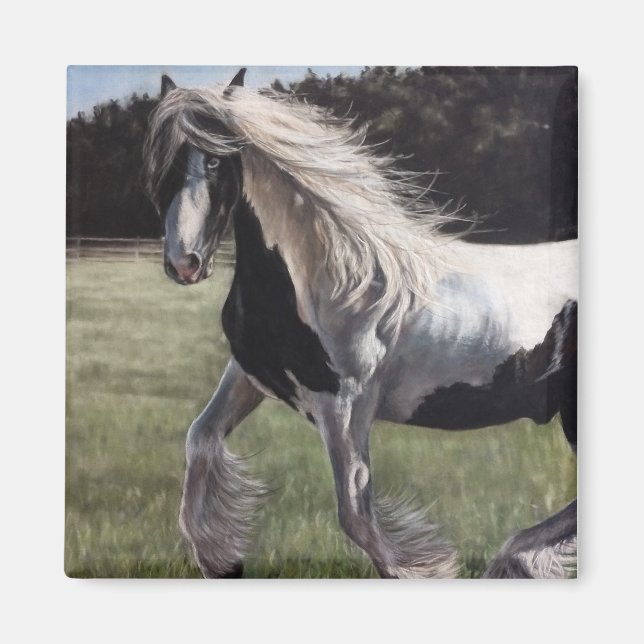 Imã Gypsy vanner pinto horse running in field (Frente)