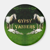 Gypsy Vanners