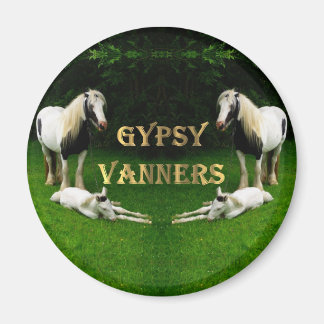Imã Gypsy Vanners