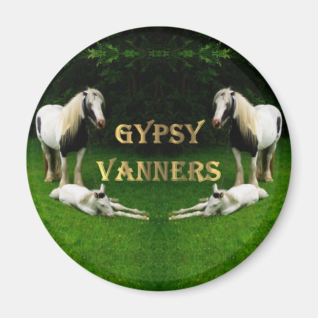 Imã Gypsy Vanners (Frente)