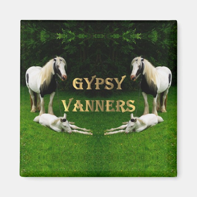 Imã Gypsy Vanners (Frente)