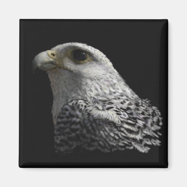 Imã Gyrfalcon Ártico (Frente)