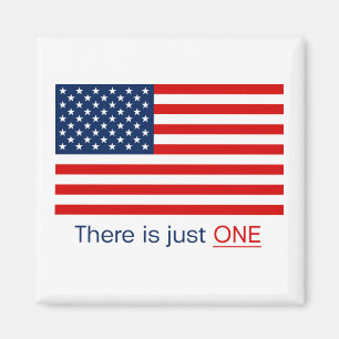 Imã Há apenas uma bandeira americana. Ímã