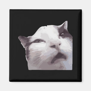 Imã Hã! Cat Meme