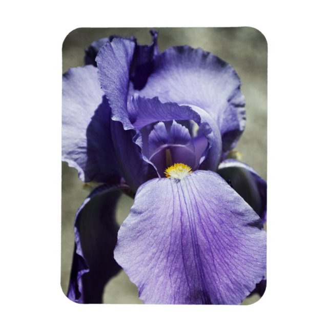 Ímã Há um magnata de beleza Premium (Vertical)