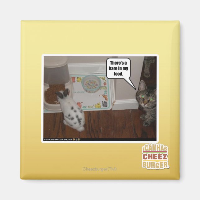 Imã Há uma lebre na minha comida. (Frente)