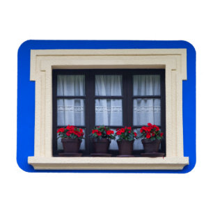 Ímã Habitação residencial com flores nas janelas