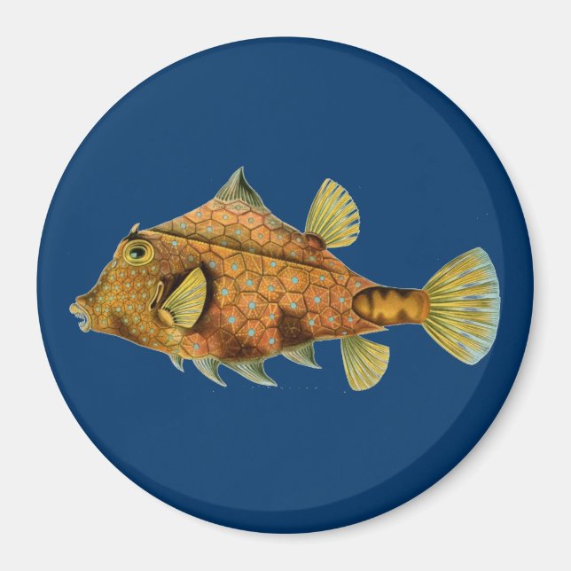 Imã Haeckel Fish (Frente)