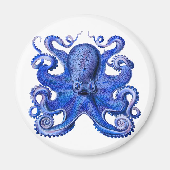 Imã Haeckel Octopus Blue (Frente)