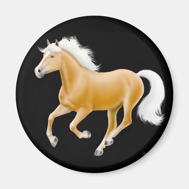 Imã Haflinger Palomino Horse Magnet Black (Frente)