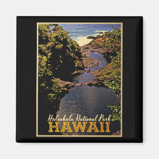 Imã Haleakala National Park Hawaii