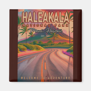 Imã Haleakala National Park Maui Road Volcano Vintage