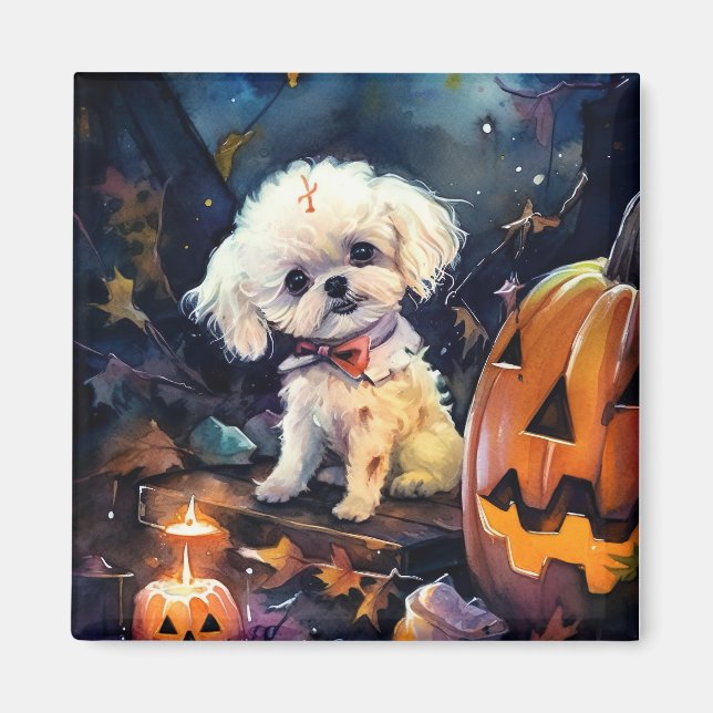 Imã Halloween Bichon Frise Com Pumpkins Assustado (Frente)
