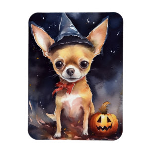 Ímã Halloween chihuahua com Pumpkins assustado