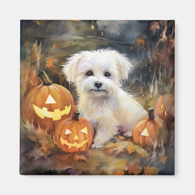 Imã Halloween Coton De Tulear Com Pumpkins Assustado (Frente)