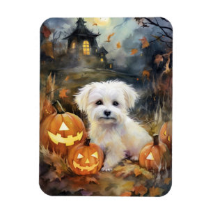Ímã Halloween Coton De Tulear Com Pumpkins Assustado