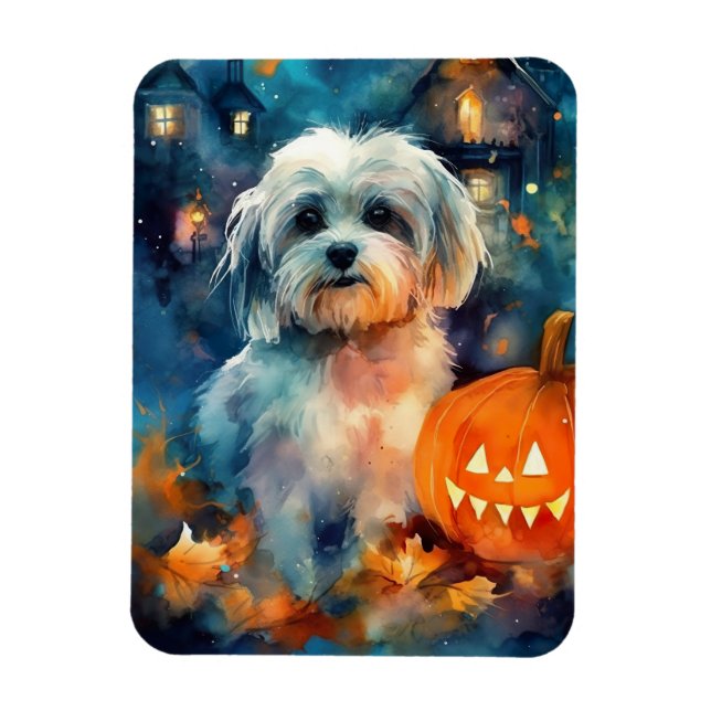Ímã Halloween Havanese Com Pumpkins Assustado (Vertical)