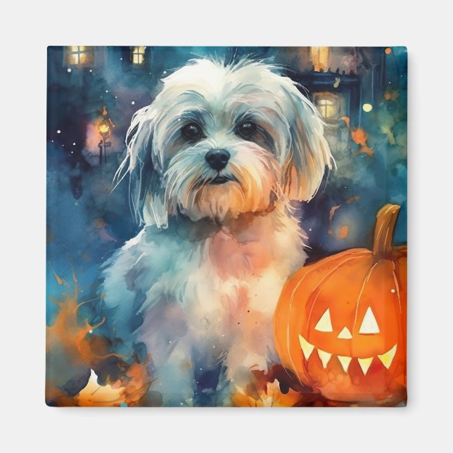 Imã Halloween Havanese Com Pumpkins Assustado (Frente)